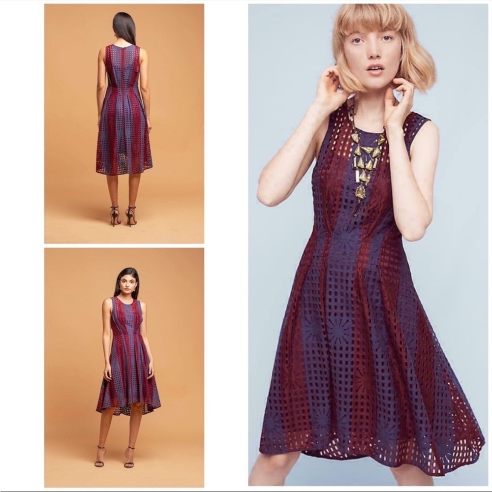Eva Franco Anthropologie Fit and Flare Sleeveless Summer Mesh Samantha Dress